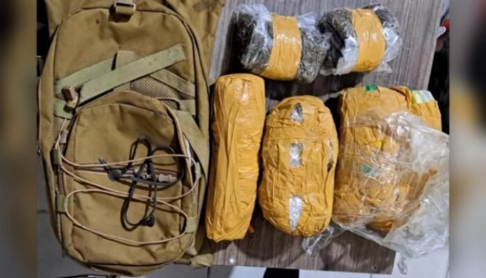 3 Warga Papua Nugini Kedapatan Bawa Ganja Masuk ke Jayapura