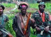 Danramil 1703-04/Aradide Tewas Ditembak OPM