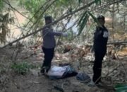 Geger, Warga Temukan Mayat Bayi di Pinggir Kali Cikeas Bogor