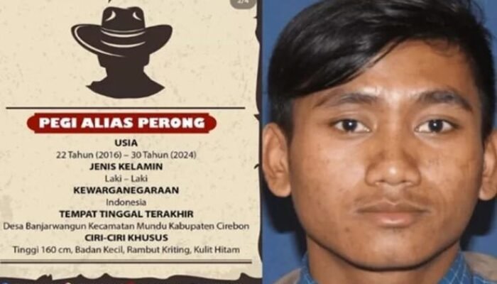 Satu Pelaku Pembunuh Vina Diringkus Polisi