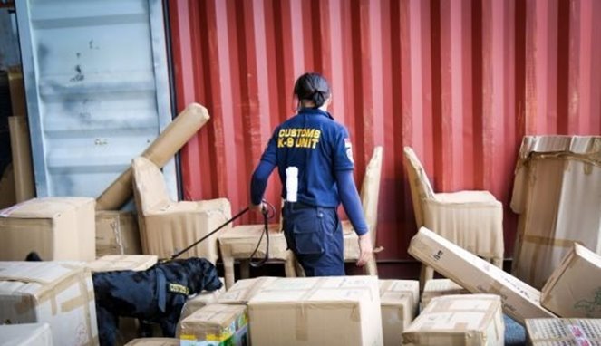 Bea Cukai dan Instansi Gabungan Sita 900 Kg Narkotika dan Obat Terlarang