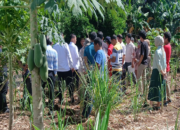 Budiman Desak Pengadilan Maros Tegakkan Keadilan dalam Kasus Sengketa Tanah