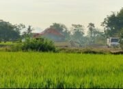 Daeng Gading Kebal Hukum? Tambang Ilegal di Gowa Seperti Dilindungi Kekuasaan