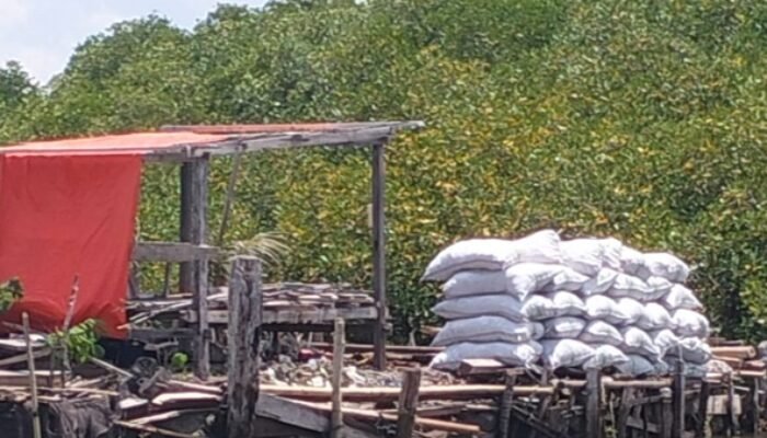 Mangrove Dibabat, Kampung di Tanakeke Terancam Tenggelam: Arang Bakau Dijual ke Makassar