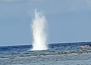 Ekosistem Laut Dihancurkan, Bom Ikan Kembali Berkeliaran di Takalar