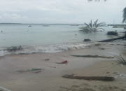 Pulau Satangnga Kian Terkikis, Usulan Desa di Musrenbang Belum Berbuah Tindakan