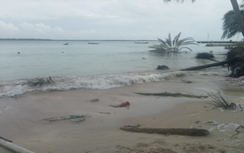 Pulau Satangnga Kian Terkikis, Usulan Desa di Musrenbang Belum Berbuah Tindakan