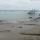 Pulau Satangnga Kian Terkikis, Usulan Desa di Musrenbang Belum Berbuah Tindakan