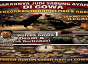 Terkuak! Sejumlah Wilayah di Gowa Diduga Jadi Sarang Judi Sabung Ayam