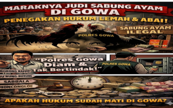 Terkuak! Sejumlah Wilayah di Gowa Diduga Jadi Sarang Judi Sabung Ayam