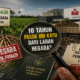 10 Tahun Beroperasi di Lahan Negara, Pasokan Ubi Kayu ke Anak Usaha Mayora Menuai Pertanyaan