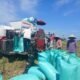 Dukung Ketahanan Pangan, Babinsa Koramil 05/Pallangga Dampingi Panen Raya Petani Tetebatu