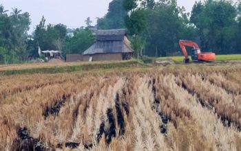 Usai Korban Jiwa, Aktivitas Tambang Diduga Tanpa Izin Kembali Beroperasi di Bajeng