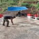 Jembatan ARMCO Hampir Rampung, Dandim Gowa Apresiasi Sinergi TNI dan Warga