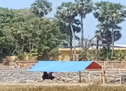 Kapolres Takalar Diminta Cek Legalitas Proyek Penimbunan hingga ke Sumber Material