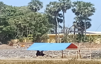 Kapolres Takalar Diminta Cek Legalitas Proyek Penimbunan hingga ke Sumber Material